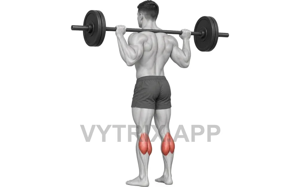 Uitvoering van Floor Calf Raise (Barbell)