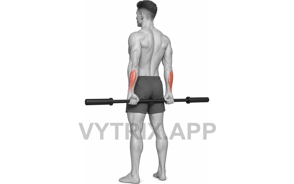 Uitvoering van Behind Back Wrist Curl