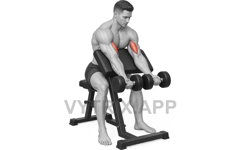 Uitvoering van Bilateral Preacher Curl (Dumbbell)