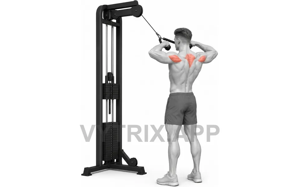 Uitvoering van Cable Face Pull (Rope)