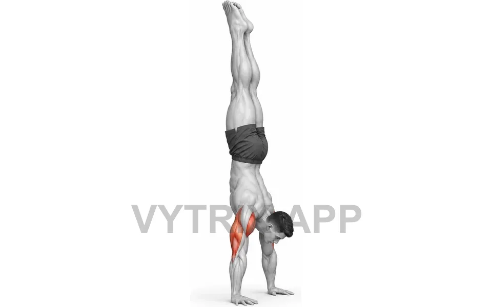 Uitvoering van Freestanding Handstand Push-Up (Bodyweight)
