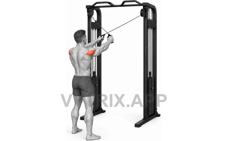 Uitvoering van High Rear Delt Fly (Cable)