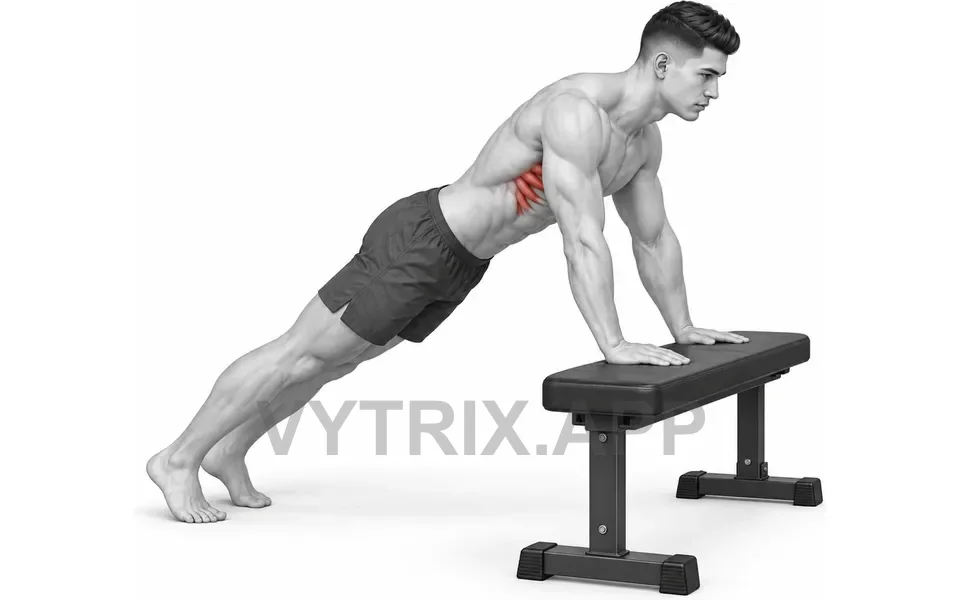 Uitvoering van Incline Scapular Push-Up (Bodyweight)