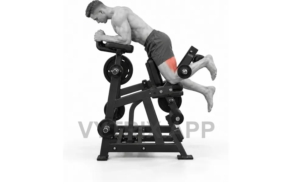 Uitvoering van Kneeling Leg Curl Machine