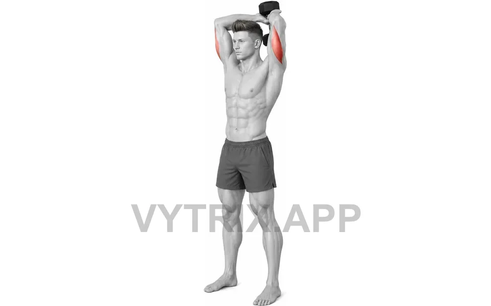 Uitvoering van Overhead Tricep Extension