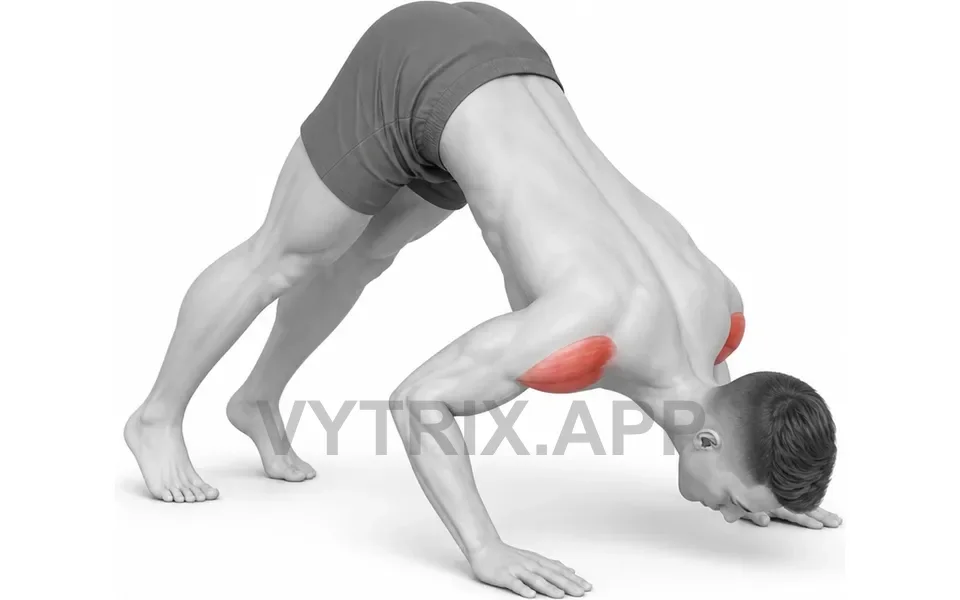 Uitvoering van Pike Push-Up