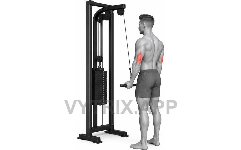 Uitvoering van Reverse Grip Pushdown