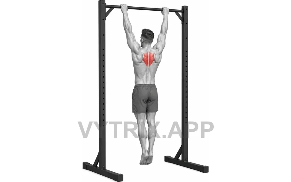 Uitvoering van Scapular Pull-Up