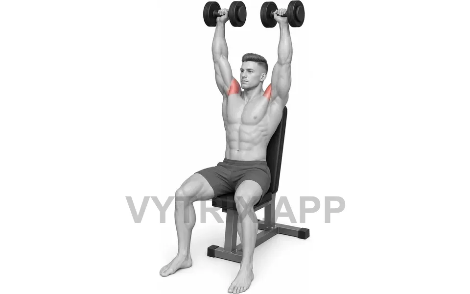 Uitvoering van Seated Dumbbell Shoulder Press