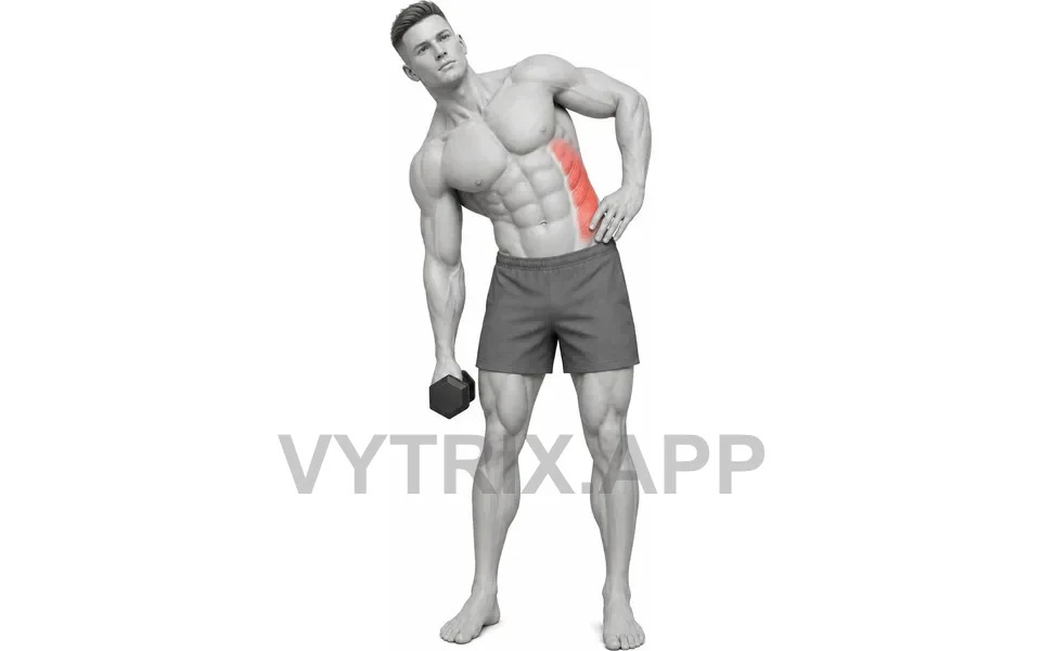 Uitvoering van Side Bend (Dumbbell)