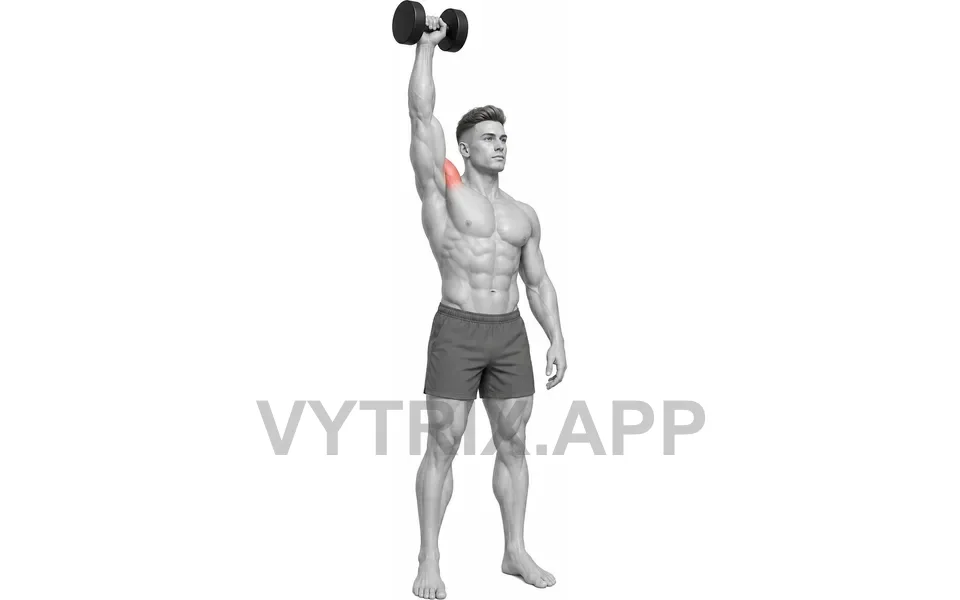 Uitvoering van Single Arm Dumbbell Press