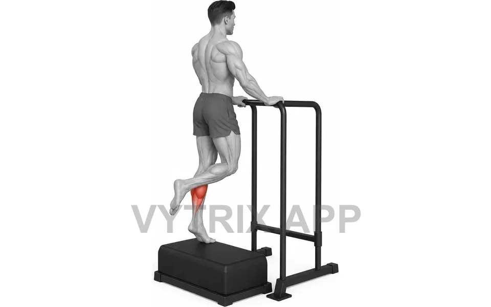 Uitvoering van Single Leg Calf Raise