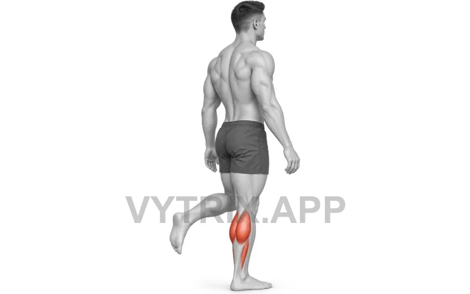 Uitvoering van Single Leg Floor Calf Raise (Bodyweight)