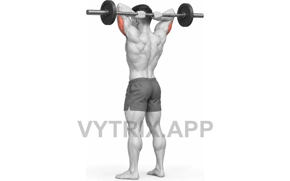 Uitvoering van Standing Overhead Triceps Extension (Barbell)