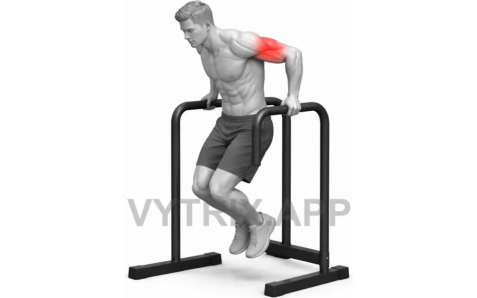 Uitvoering van Tricep Dip