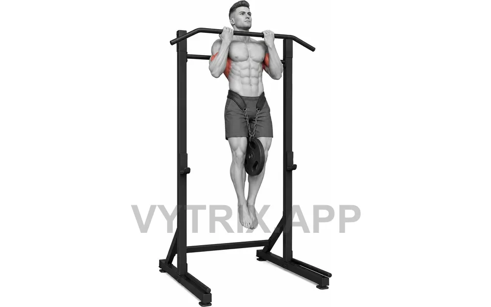 Uitvoering van Weighted Chin-Up