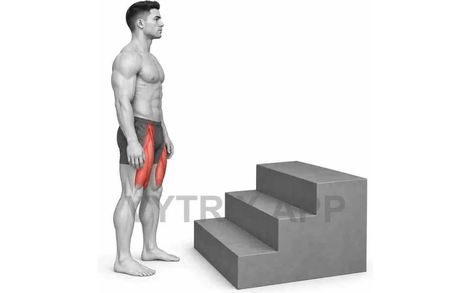 Uitvoering van Alternating Step Taps (Bodyweight)
