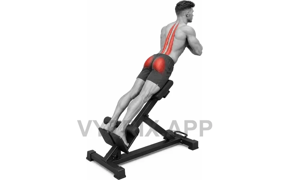 Uitvoering van Back Extension (45 Degree)