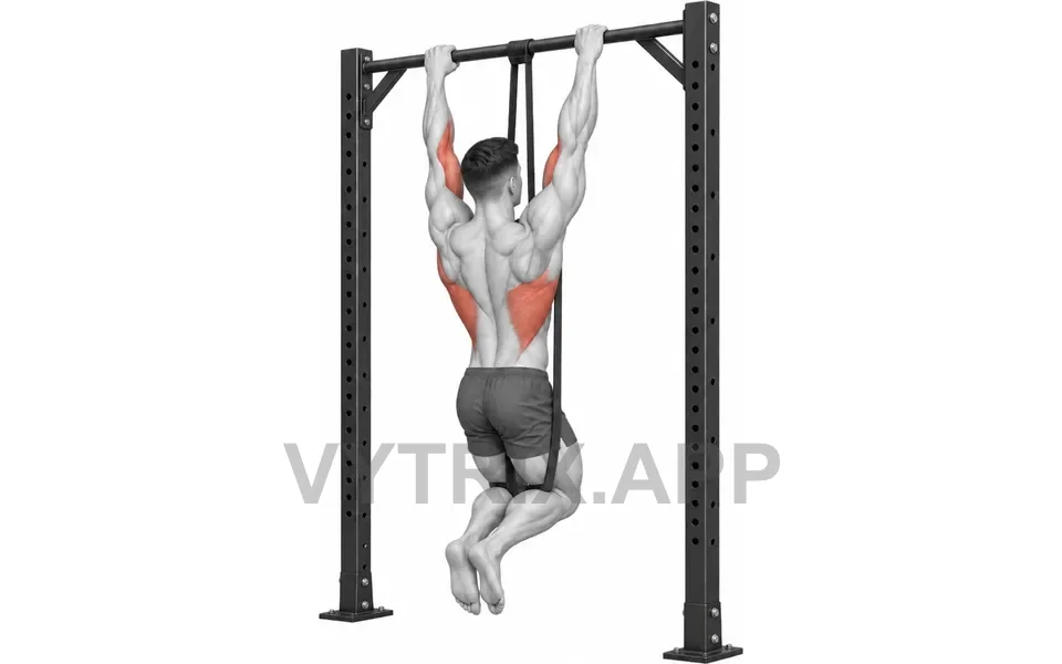 Uitvoering van Assisted Pull-Up (Resistance Band)
