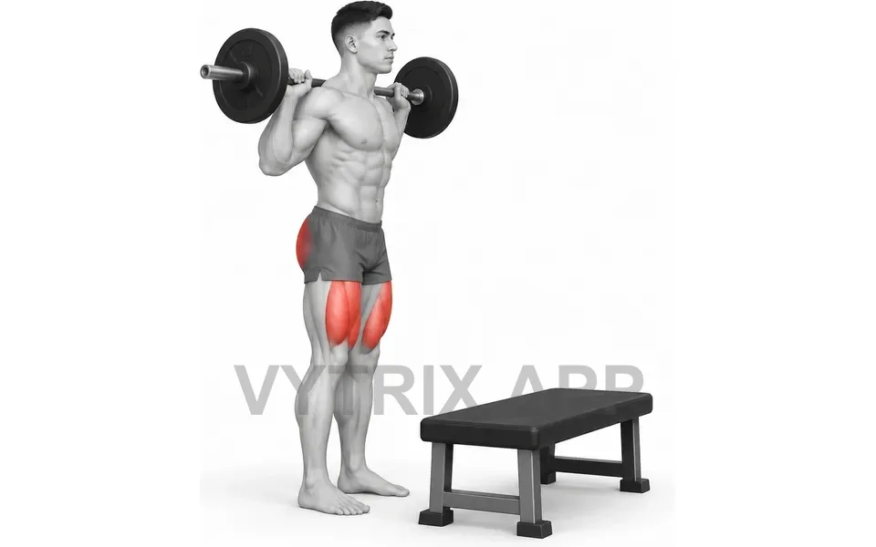 Uitvoering van Step Up (Barbell)