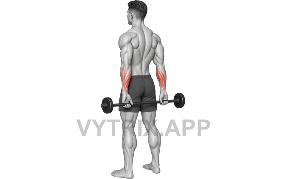 Uitvoering van Behind Back Finger Curl (Barbell)