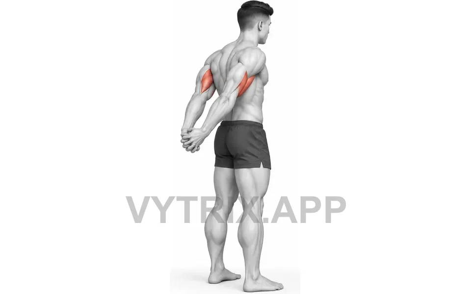 Uitvoering van Behind Back Biceps Stretch (Bodyweight)