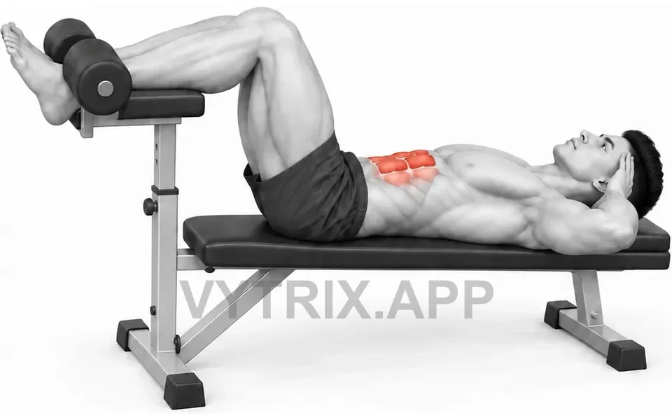 Uitvoering van Bench Supported Tabletop Crunch (Bodyweight)