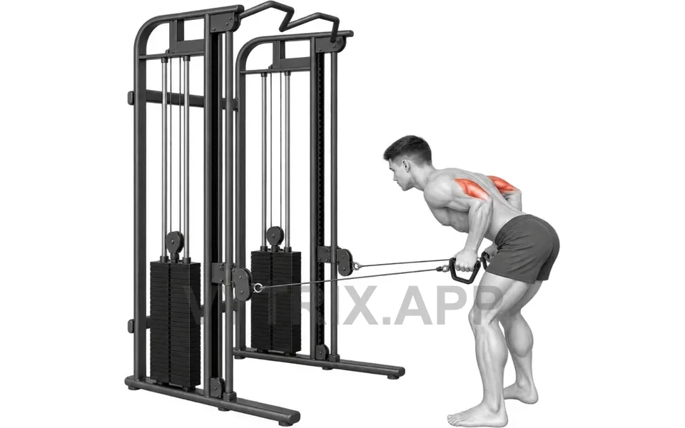 Uitvoering van Bilateral Triceps Kickback (Cable)