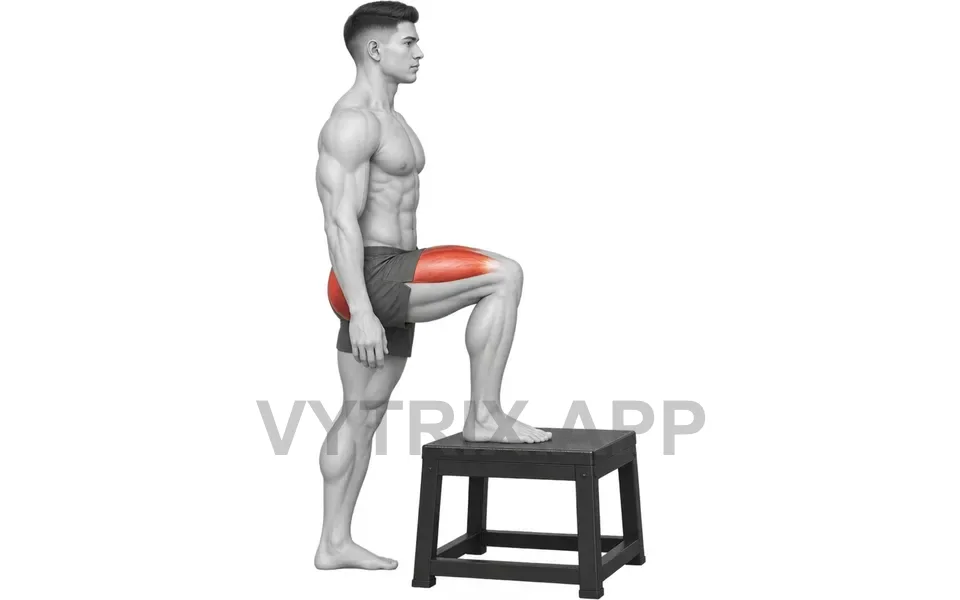 Uitvoering van Step Up (Bodyweight)