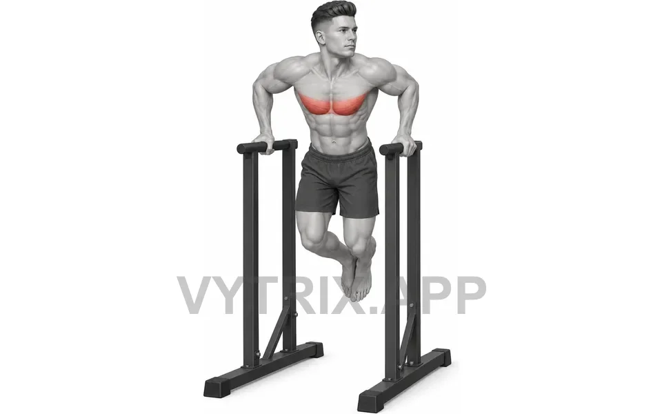 Uitvoering van Chest Dip