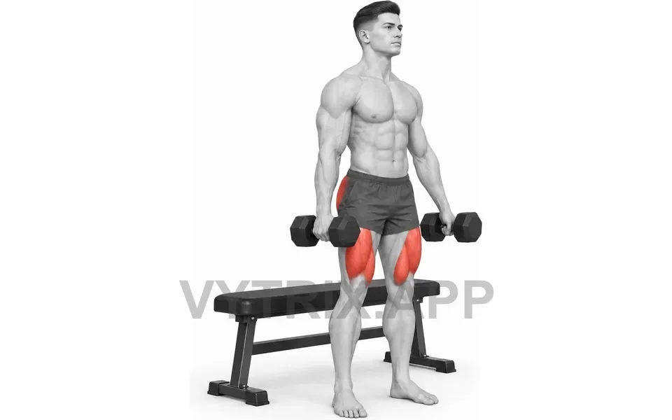 Uitvoering van Bench Squat (Dumbbell)