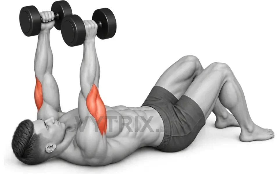 Uitvoering van Floor Skull Crusher (Dumbbell)