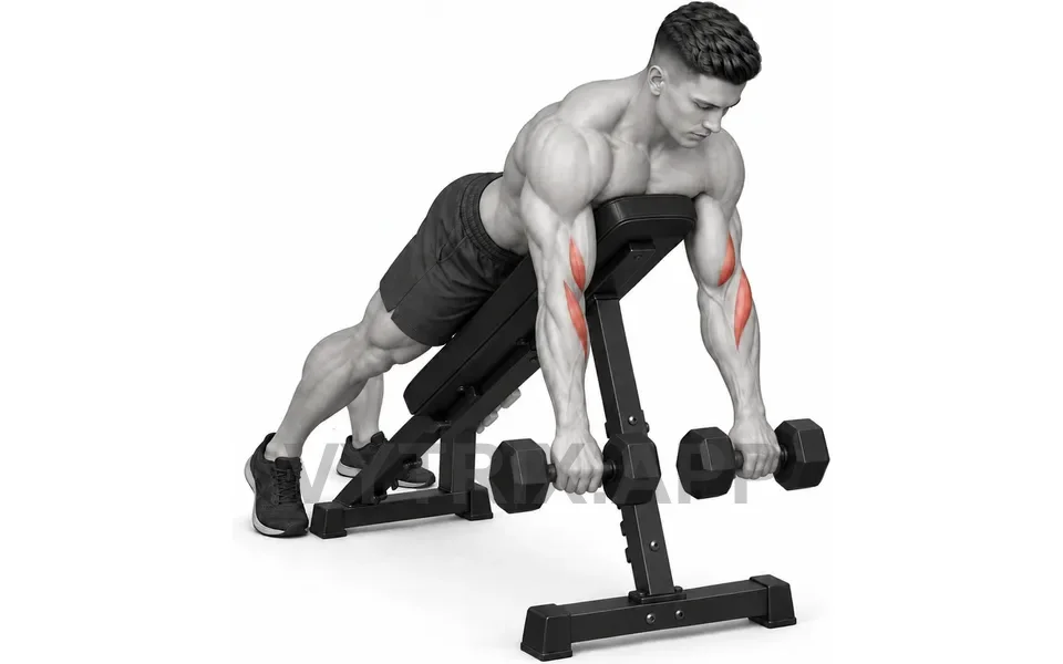 Uitvoering van Reverse Spider Curl (Dumbbell)