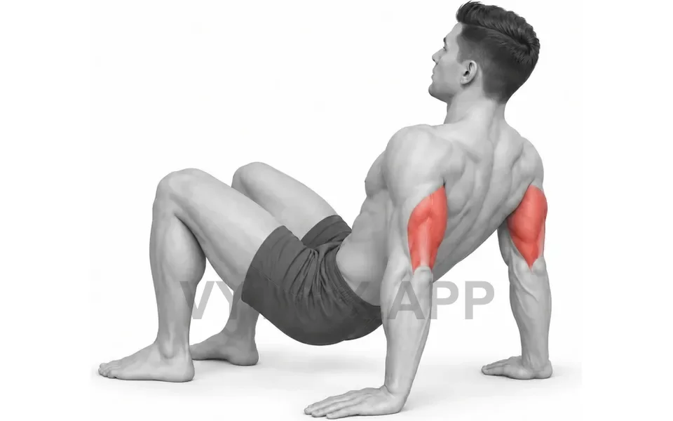 Uitvoering van Floor Triceps Dip (Bodyweight)