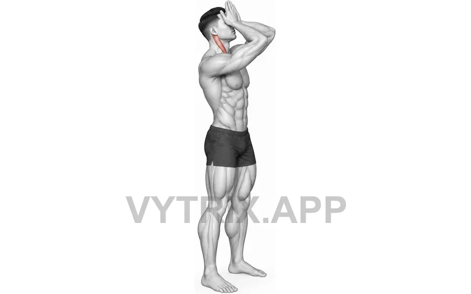 Uitvoering van Front Neck Stretch (Bodyweight)