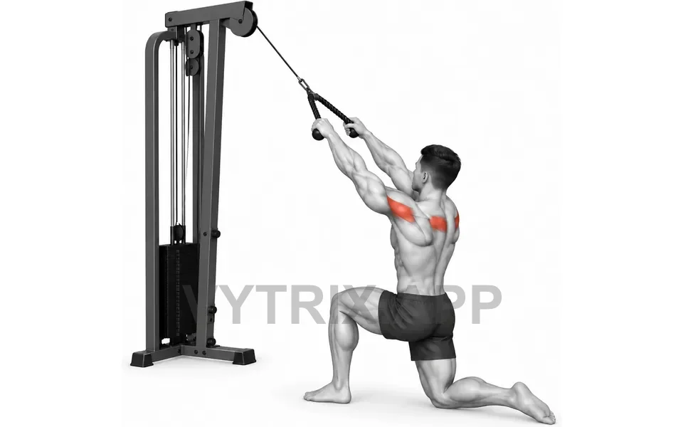Uitvoering van Half Kneeling Face Pull (Cable)