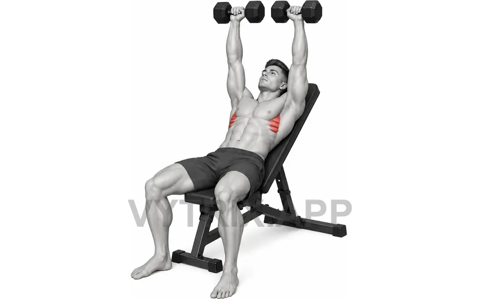 Uitvoering van Incline Serratus Raise (Dumbbell)