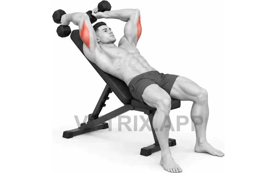 Uitvoering van Incline Skull Crusher (Dumbbell)