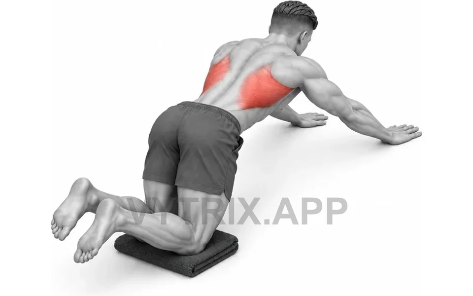 Uitvoering van Kneeling Sliding Floor Pulldown (Bodyweight)