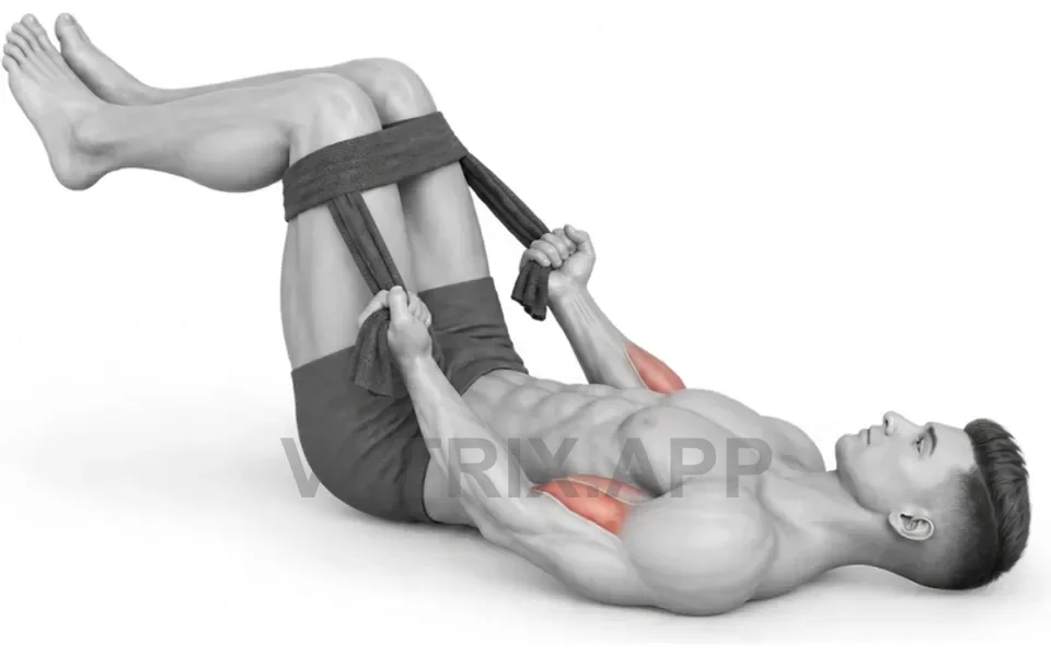 Uitvoering van Lying Towel Biceps Curl (Bodyweight)