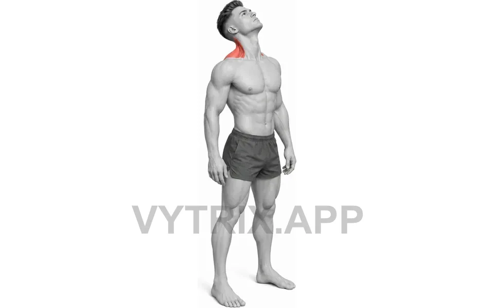 Uitvoering van Neck Extension