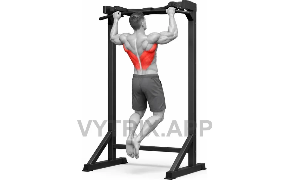 Uitvoering van Pull-Up