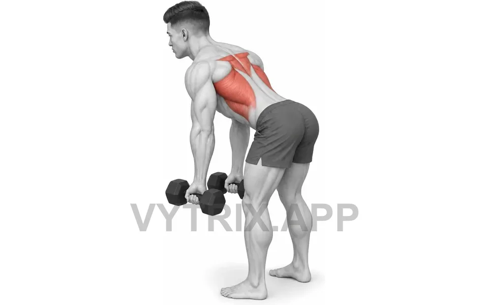 Uitvoering van Reverse Grip Row (Dumbbell)