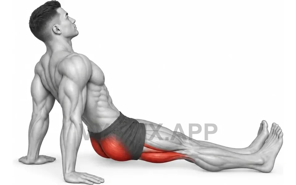 Uitvoering van Reverse Plank Raise (Bodyweight)