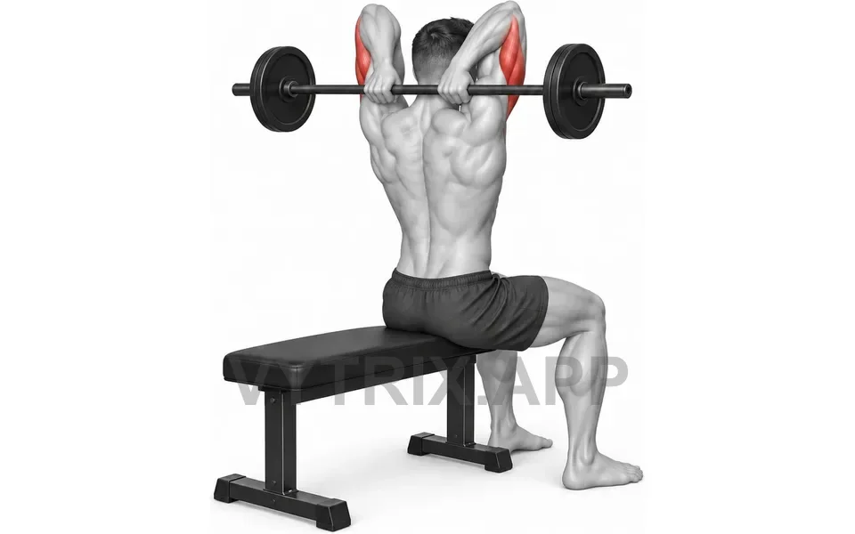 Uitvoering van Seated Overhead Triceps Extension (Barbell)