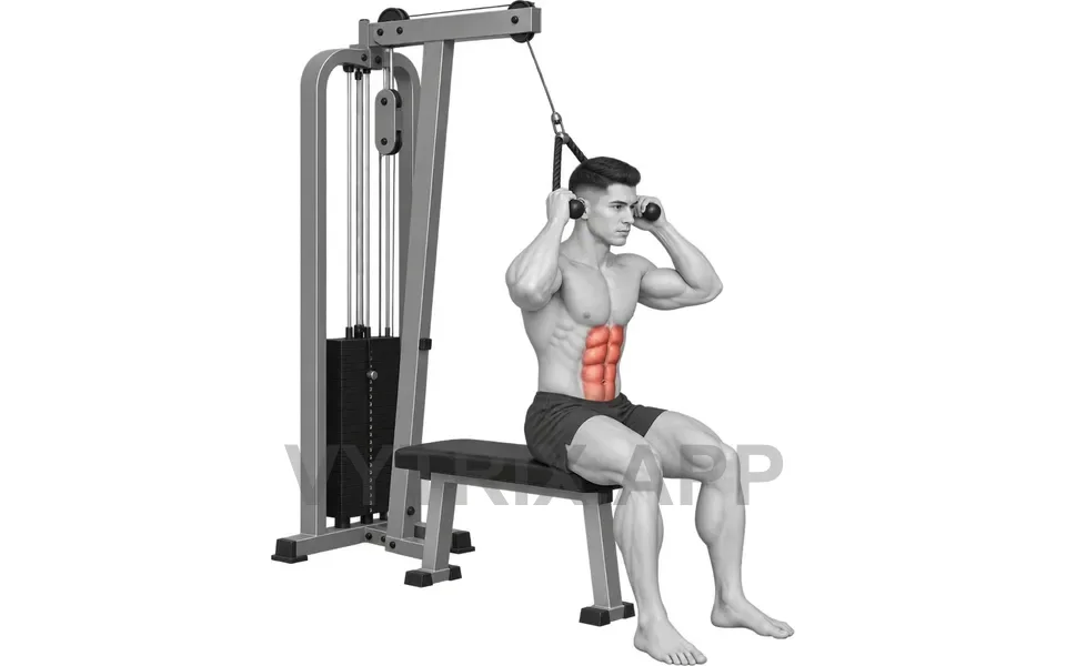Uitvoering van Seated Crunch (Cable)