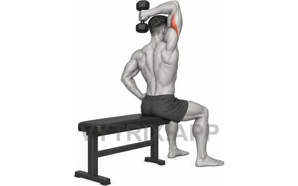 Uitvoering van Seated Single Arm Overhead Extension (Dumbbell)