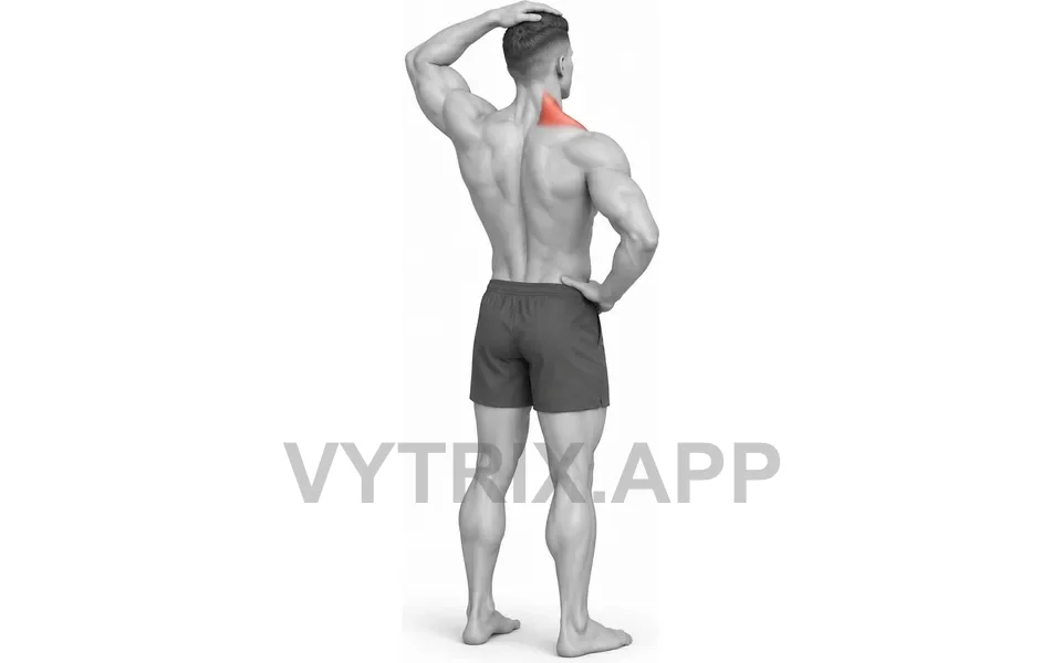 Uitvoering van Side Neck Stretch (Bodyweight)