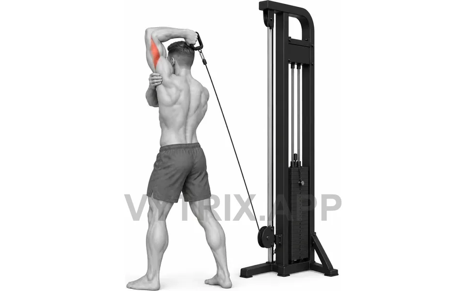 Uitvoering van Single Arm Overhead Triceps Extension (Cable)