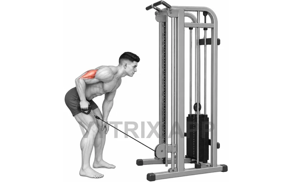 Uitvoering van Single Arm Triceps Kickback (Cable)